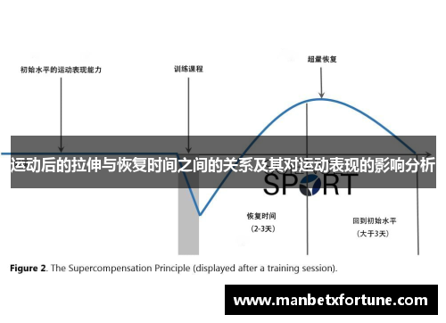运动后的拉伸与恢复时间之间的关系及其对运动表现的影响分析