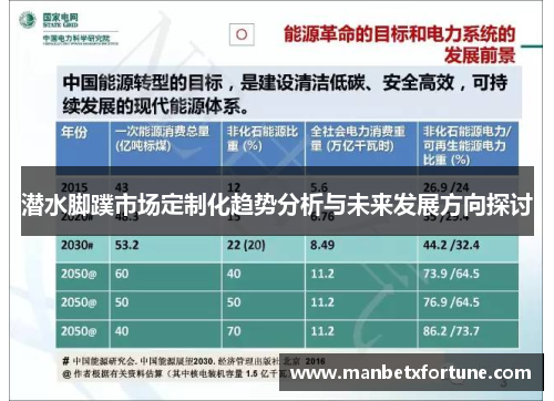 潜水脚蹼市场定制化趋势分析与未来发展方向探讨