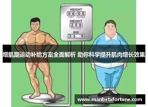 增肌期运动补给方案全面解析 助你科学提升肌肉增长效果