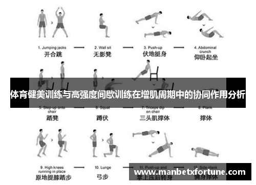 体育健美训练与高强度间歇训练在增肌周期中的协同作用分析